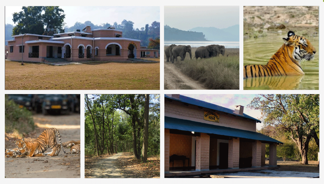 Gairal Forest Rest House