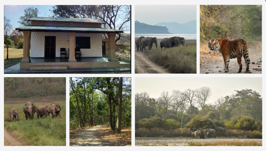 Gairal Forest Rest House