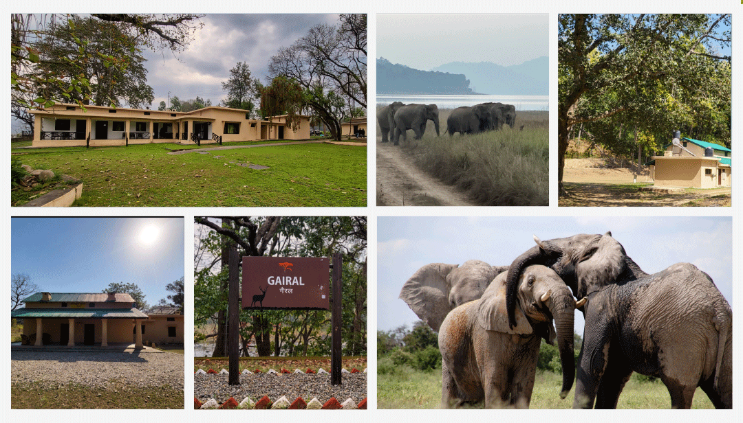 Gairal Forest Rest House