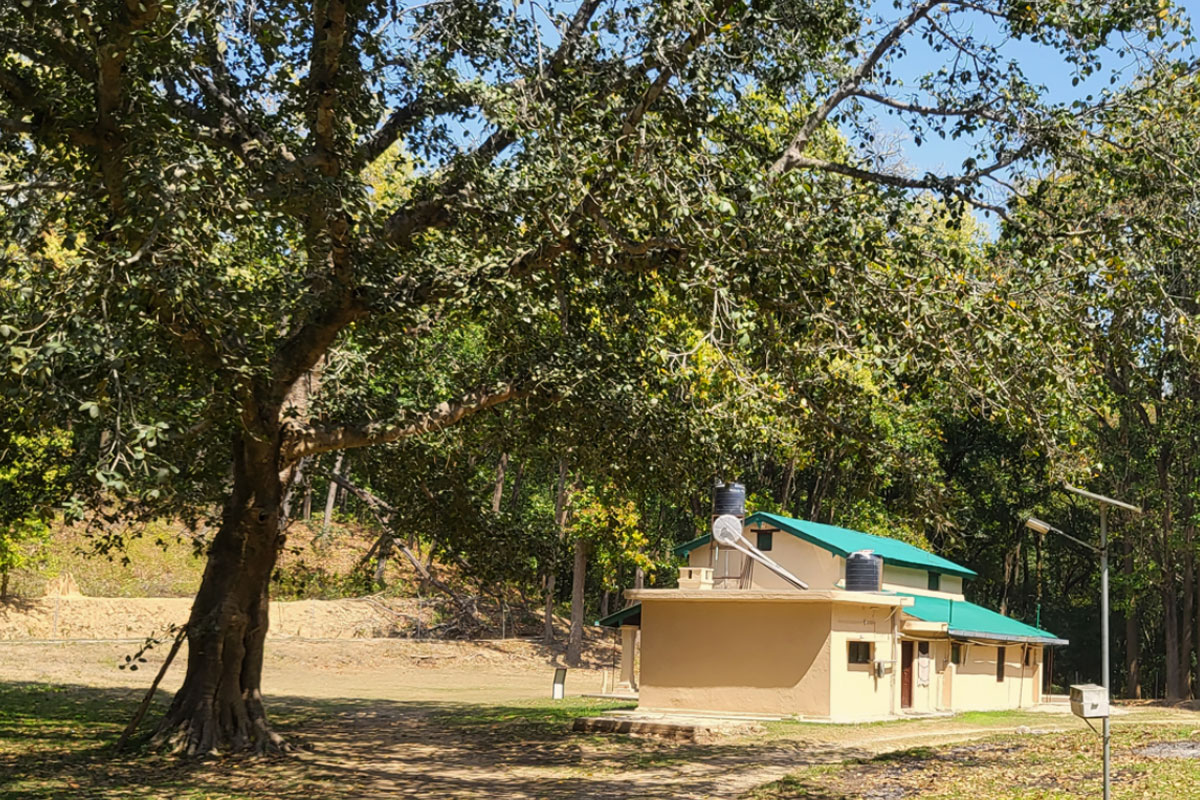 Dhikala Zone landscape